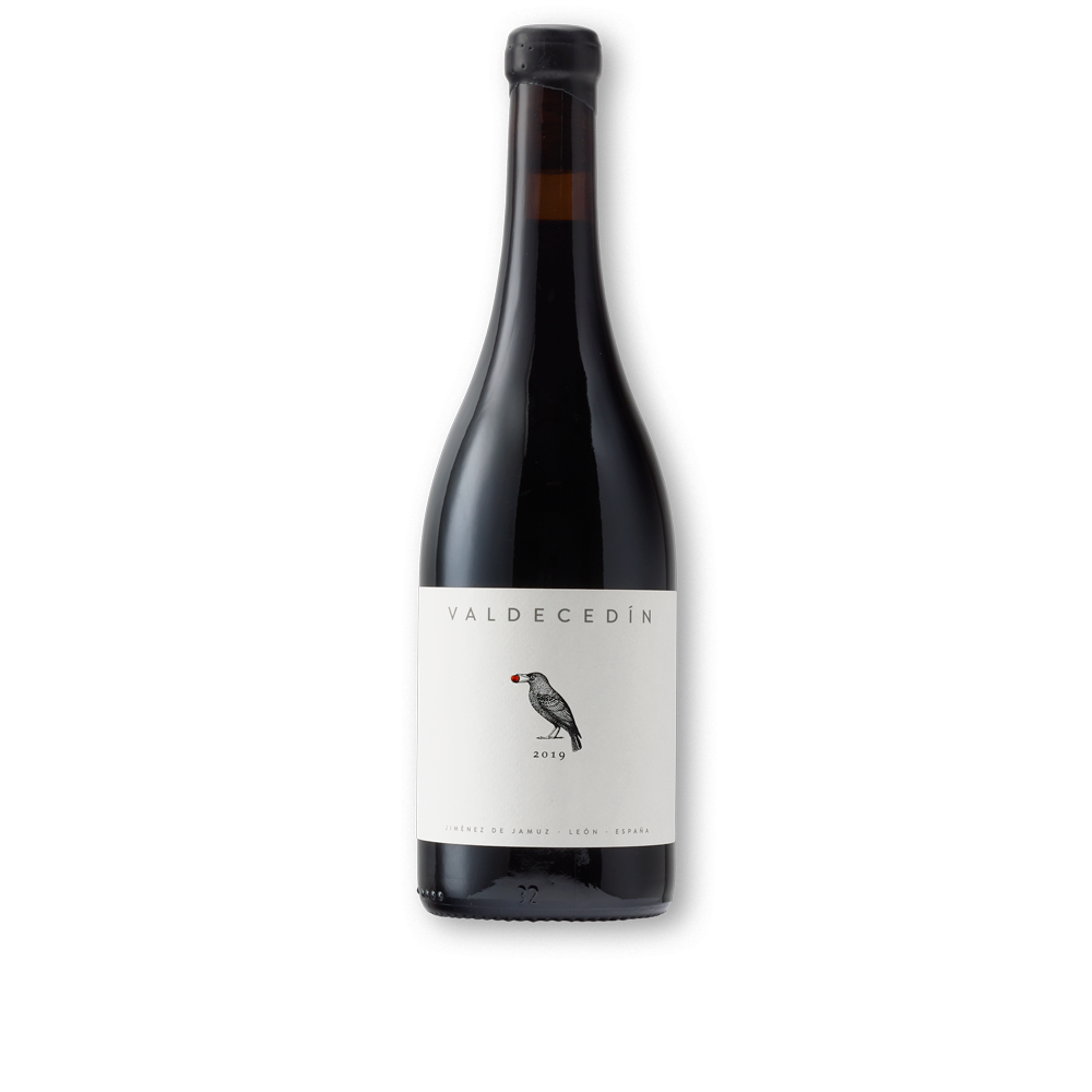Our unique red Wine Valdecedín 2019