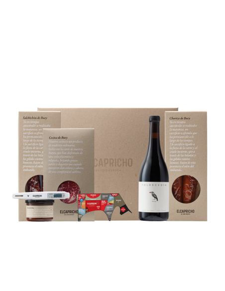 Caja selección José Gordón