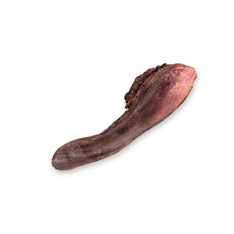 Lengua curada de vacuno