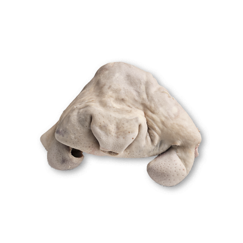 Museau de bœuf ibérique