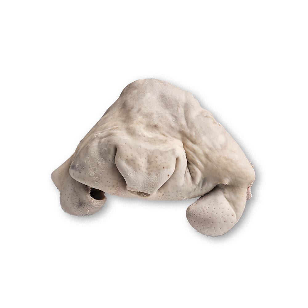 Museau de bœuf ibérique