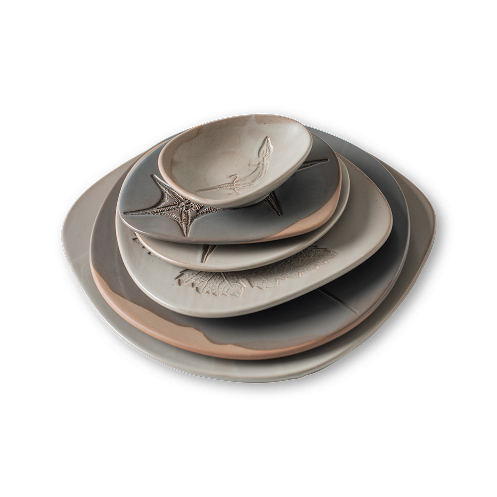 Fossil Shell Bowl 17cm White | Box 4...