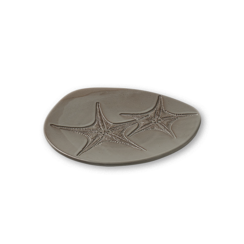 Fossil Plato Estrella de mar 17cm...